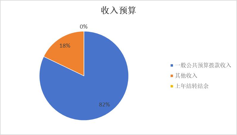 Figure 1: Revenue Budget
